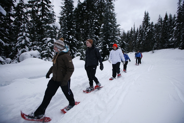  dans la neige 